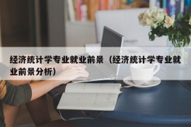 经济统计学专业就业前景（经济统计学专业就业前景分析）