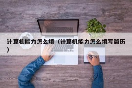 计算机能力怎么填（计算机能力怎么填写简历）