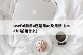 useful前用a还是用an及用法（useful前用什么）