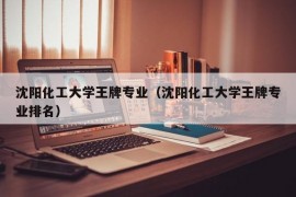 沈阳化工大学王牌专业（沈阳化工大学王牌专业排名）