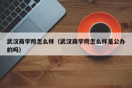 武汉商学院怎么样（武汉商学院怎么样是公办的吗）