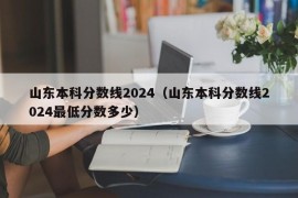 山东本科分数线2024（山东本科分数线2024最低分数多少）