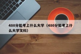 480分能考上什么大学（480分能考上什么大学文科）