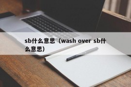 sb什么意思（wash over sb什么意思）