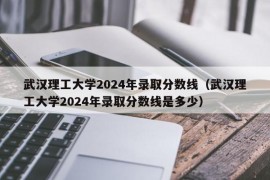 武汉理工大学2024年录取分数线（武汉理工大学2024年录取分数线是多少）