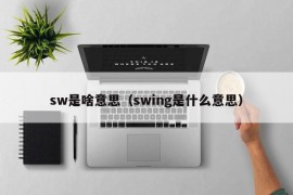 sw是啥意思（swing是什么意思）