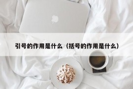 引号的作用是什么（括号的作用是什么）