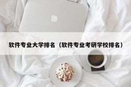 软件专业大学排名（软件专业考研学校排名）