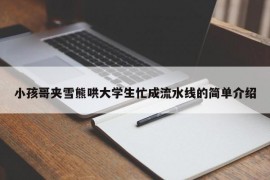 小孩哥夹雪熊哄大学生忙成流水线的简单介绍