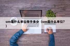 um是什么单位等于多少（um是什么单位?）