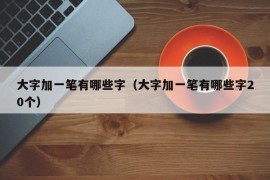 大字加一笔有哪些字（大字加一笔有哪些字20个）