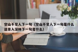 空山不见人下一句（空山不见人下一句是什么返景入深林下一句是什么）