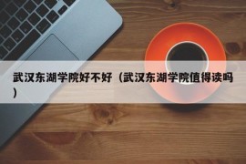 武汉东湖学院好不好（武汉东湖学院值得读吗）