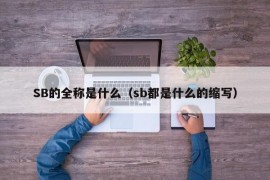 SB的全称是什么（sb都是什么的缩写）