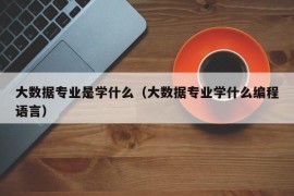 大数据专业是学什么（大数据专业学什么编程语言）