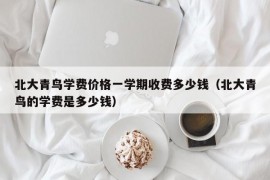 北大青鸟学费价格一学期收费多少钱（北大青鸟的学费是多少钱）