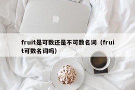 fruit是可数还是不可数名词（fruit可数名词吗）