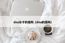 dna分子的结构（dna的结构）