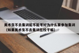 美术生不去集训能不能考好为什么要参加集训（如果美术生不去集训在校干嘛）