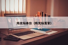 陈光标身价（陈光标发家）