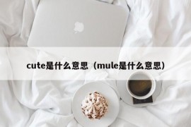 cute是什么意思（mule是什么意思）