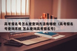 高考报名号怎么查查询方法有哪些（高考报名号查询系统 怎么查询高考报名号）