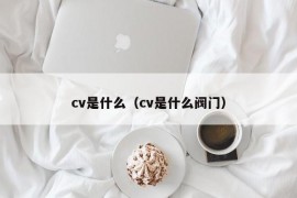 cv是什么（cv是什么阀门）