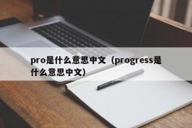 pro是什么意思中文（progress是什么意思中文）