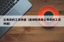 公务员的工资待遇（县城税务局公务员的工资待遇）