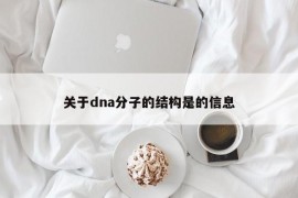 关于dna分子的结构是的信息