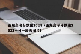 山东高考分数线2024（山东高考分数线2023一分一段表图片）