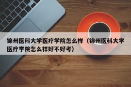 锦州医科大学医疗学院怎么样（锦州医科大学医疗学院怎么样好不好考）