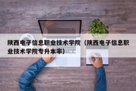 陕西电子信息职业技术学院（陕西电子信息职业技术学院专升本率）