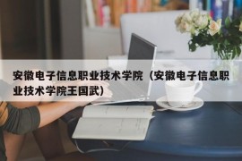 安徽电子信息职业技术学院（安徽电子信息职业技术学院王国武）