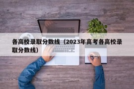 各高校录取分数线（2023年高考各高校录取分数线）