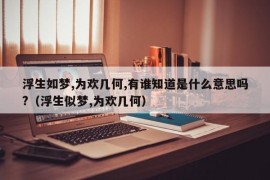 浮生如梦,为欢几何,有谁知道是什么意思吗?（浮生似梦,为欢几何）