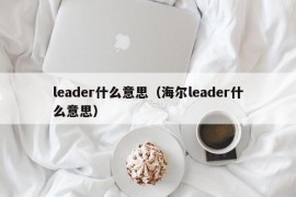 leader什么意思（海尔leader什么意思）