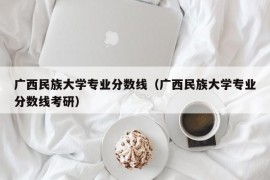 广西民族大学专业分数线（广西民族大学专业分数线考研）