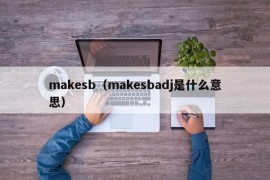 makesb（makesbadj是什么意思）