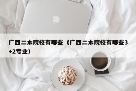 广西二本院校有哪些（广西二本院校有哪些3+2专业）