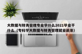 大数据与财务管理专业学什么2021毕业干什么（专科学大数据与财务管理就业前景）